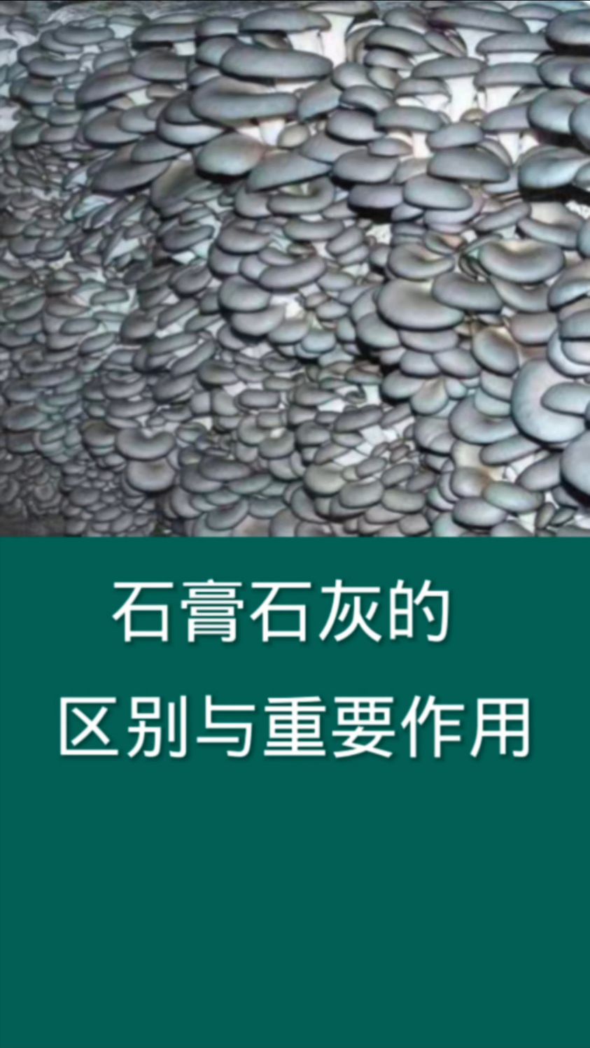 石膏与石灰 从化学本质到建筑之功，一对矿物孪生子的全方位解析